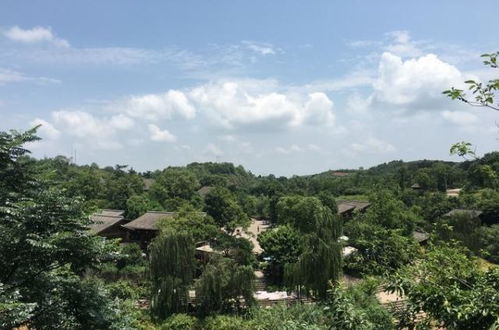 成都周邊隱藏一個4a級古鎮,門票0元,在山水之間,正越來越火